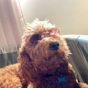 Meet your Posher, Priyaa